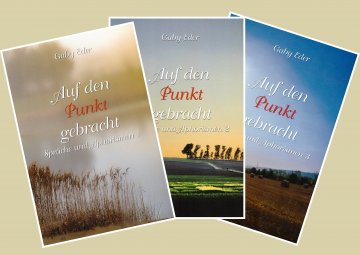 3 Buchcover mit Landschaften und Titel